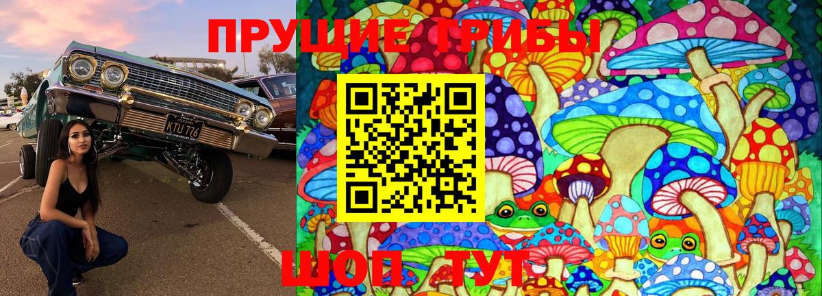 Галлюциногенные грибы Psilocybe  Вход с VPN  Ленинск-Кузнецкий 