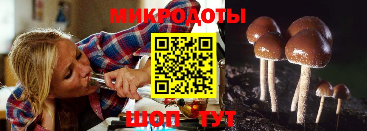 Псилоцибиновые грибы Psilocybine cubensis Ленинск-Кузнецкий
